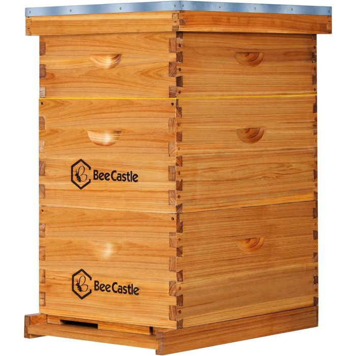 Colmena BeeCastle Langstroth 10 Marcos Cera 2 Cajas Profundas 1 Mediana