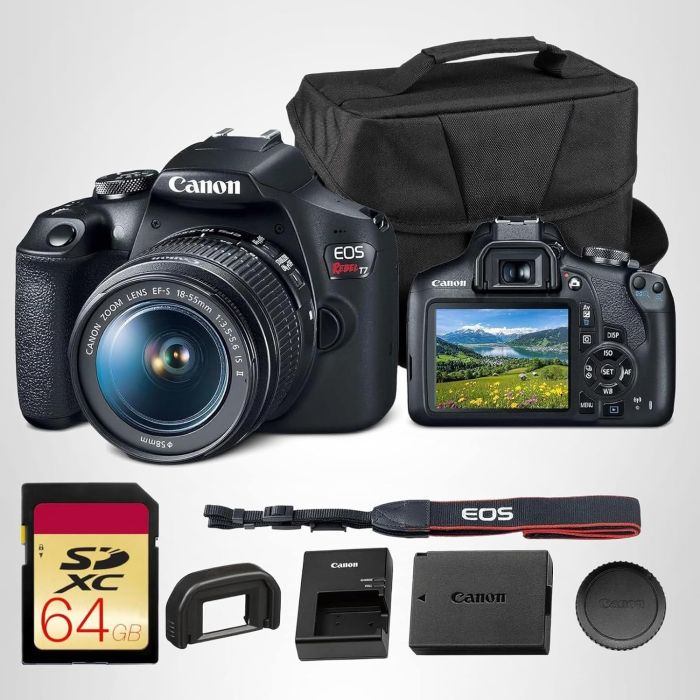 Canon EOS Rebel T7 Cámara DSLR 24.1MP con Wi-Fi y NFC