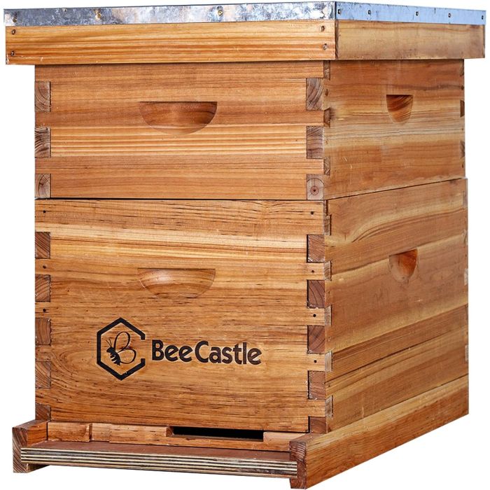 Kit Colmena Completa 10 Marcos BeeCastle Revestida Cera