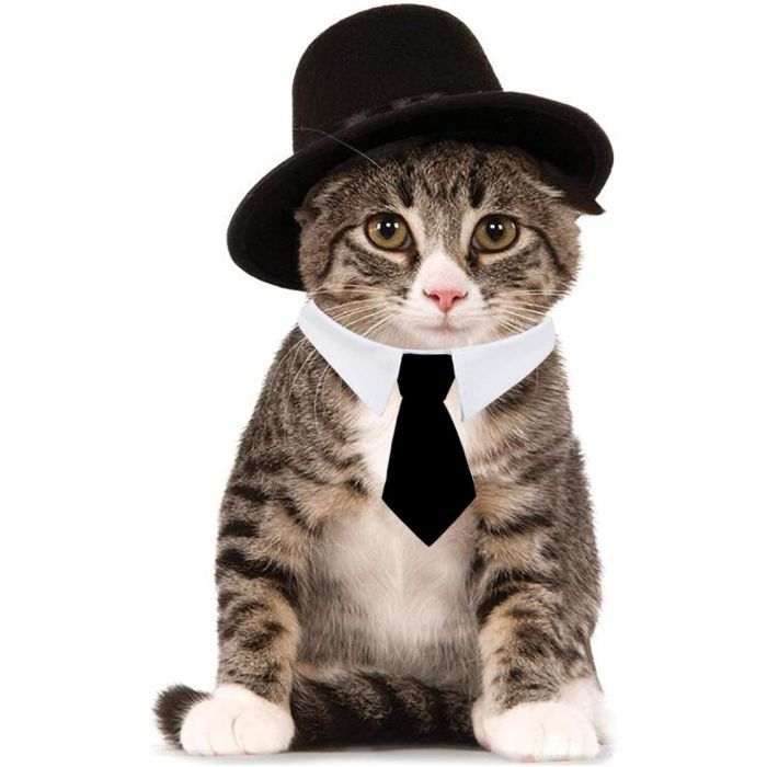 HUYADAPI Corbata y Sombrero Formal Ajustable para Mascotas
