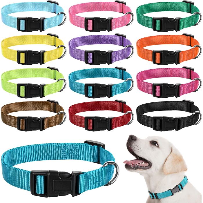 Collar para Perro Ajustable de Nylon Lote 12 Piezas Talla Mediana