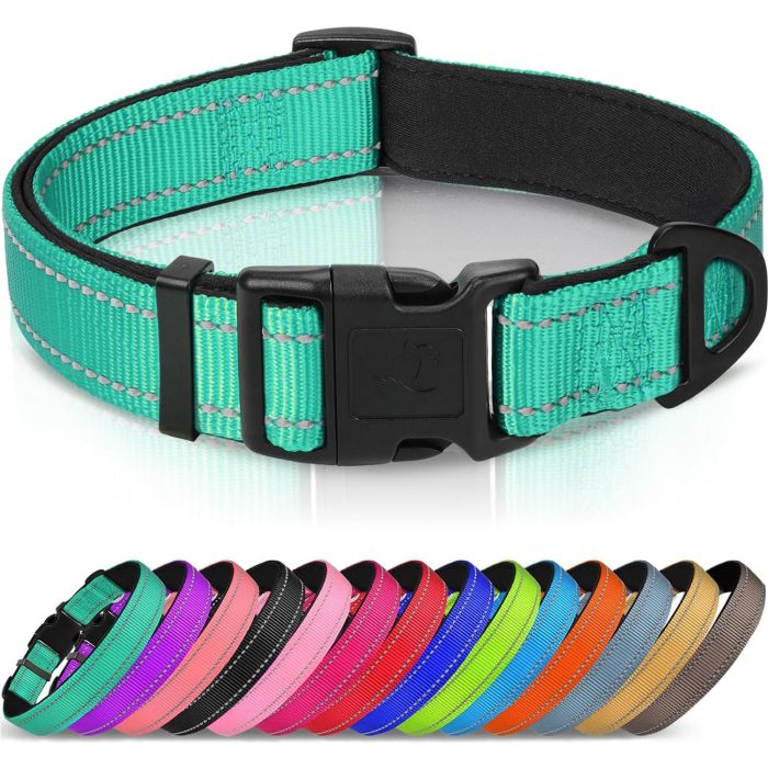 Collar Reflectante para Perro Joytale, Neopreno Suave, Nailon, Teal, L