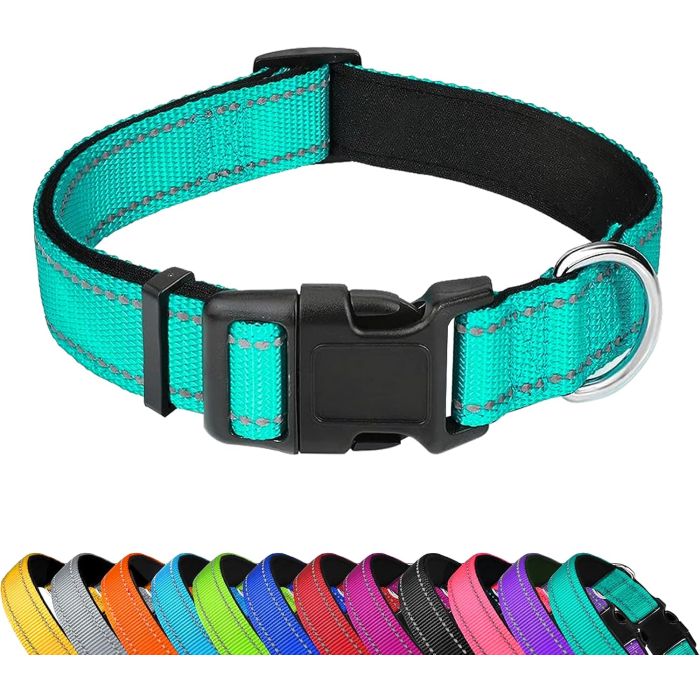 Collar Reflectante para Perro Medio, Acolchado de Neopreno, Nailon, Teal