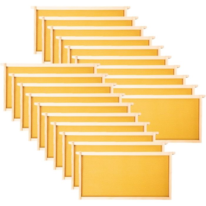 MayBee 20 Pack Marco de Abeja con Cera 9-1/8 Pulgadas