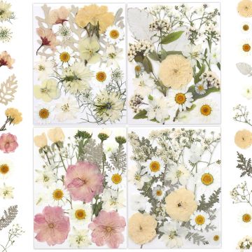 80 Flores Secas Naturales para Manualidades y Resina - LUXEEASE