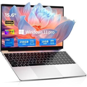 SAGAWHALE 4425Y-16G-256G Laptop 15.6" FHD IPS 16GB RAM 256GB SSD Windows 11 Pro