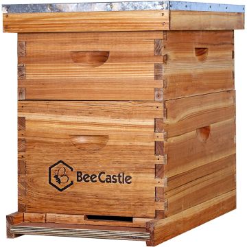 Kit Colmena Completa 10 Marcos BeeCastle Revestida Cera