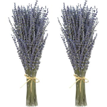 Lavanda Seca 2 Manojos 100% Fresca Natural Ramos Decorativos 38cm
