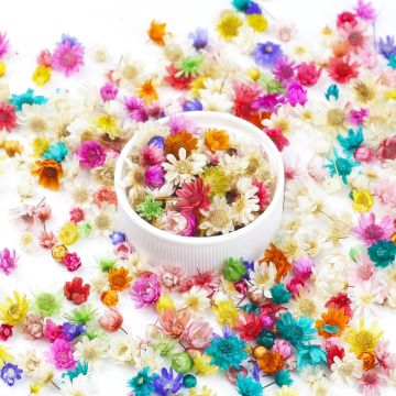 300 Flores Secas Mini para Resina, Manualidades y Decoración
