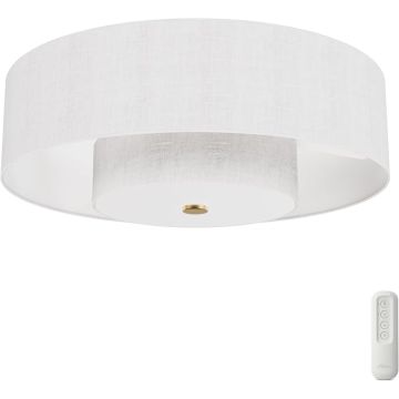 Ventilador de Techo 30 Pulgadas Con Luz y Control Remoto 120
