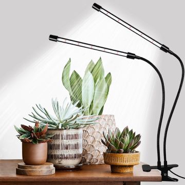 Lámpara de Cultivo LED Hywyimlait para Plantas, 84 LEDs, Temporizador